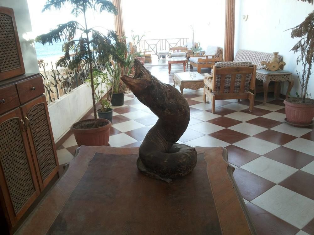 Sea Soul Hotel دهب المظهر الخارجي الصورة